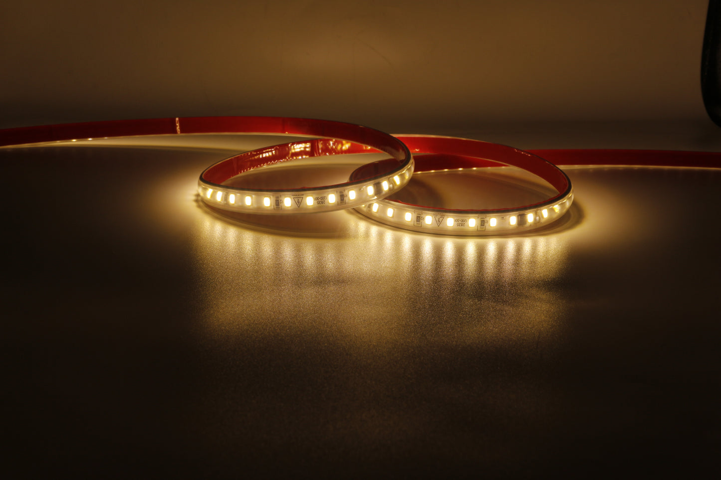 LED STRIP LIGHT 220V IP65 Waterproof 10mm Width LED Rope Lamp Outdoor Landscape Lighting 1000Lm/m High Voltage 2835SMD driver free Led Strip Lights
