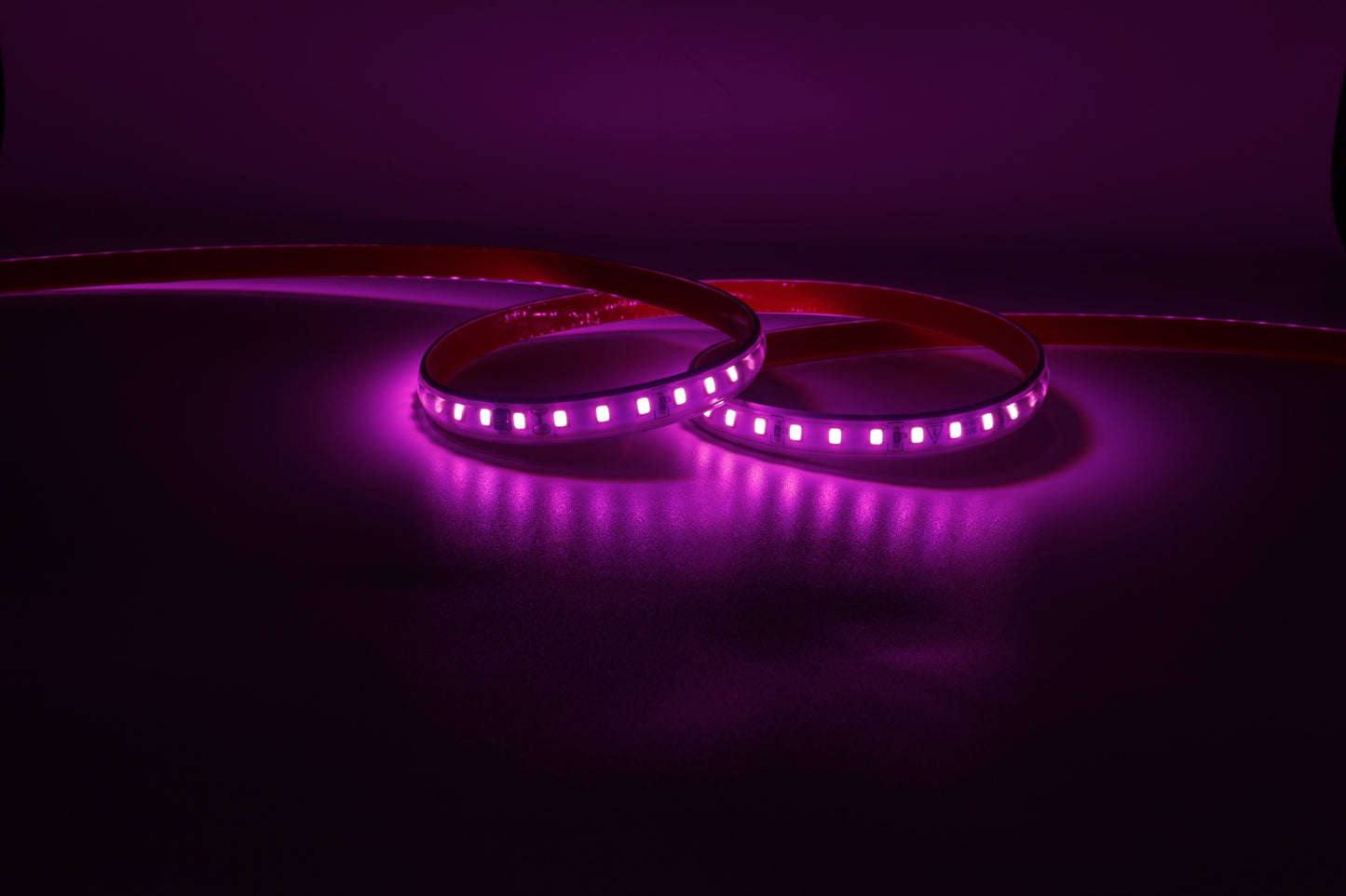 LED STRIP LIGHT 220V IP65 Waterproof 10mm Width LED Rope Lamp Outdoor Landscape Lighting 1000Lm/m High Voltage 2835SMD driver free Led Strip Lights